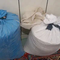 نخود دیم