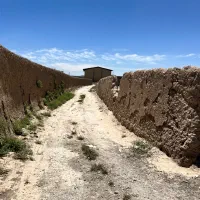 زمین