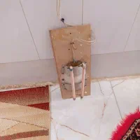 ال منت