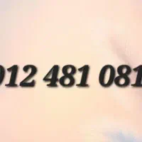 09124810819