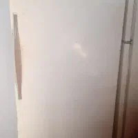 دوعدد یخچال مناسب خونه باغ