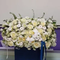 گل کادوئی