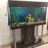 آکواریوم مبله