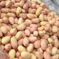 پسته تازه مه ولات