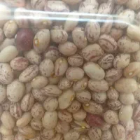 لوبیا چیتی