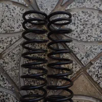 فنر عقب ساینا دوگانه