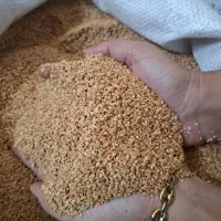 کنجدارده یک اتیشه ودواتیشه،ایرانی،پاکستانی،سودان