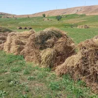 فروش علف