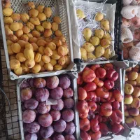 150 توما|خوردنی و آشامیدنی|دزفول, |دیوار