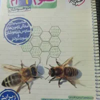 علوم نهم(تیزهوشان) و سیر تا پیاز