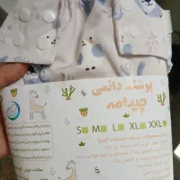 پوشک دائمی چیدامه