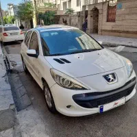 207 پاناروما