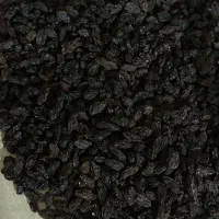 مویز