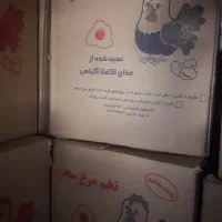 تخم مرغ سحر زرده طلایی