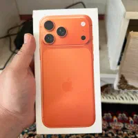 17 pro max