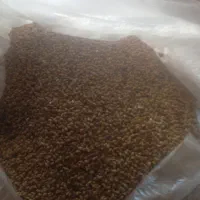 فروش تخم یونجه به مقدار ۳۵۰ کیلو