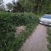 کدرمان زمین۳۱۰متربامجوزساخت رشت خشکبیجار کوچصفهان