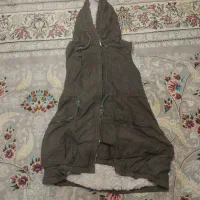 پافر داخل خز