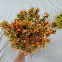 بوته خارجی فروش فوری