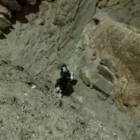 2عدد جوجه گلین