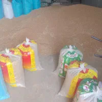 گندم بذری دروم دهه سیاه درجه یک