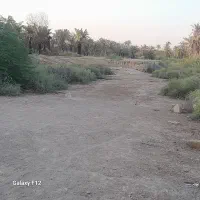 زمین-100متری