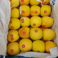 تهیه و توزیع انواع میوه و تره بار از میدان شیراز