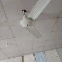 پنکه سقفی
