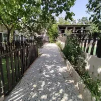 پانسیون و آموزش سگ