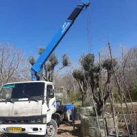 جرثقیل ۳تن دماوند