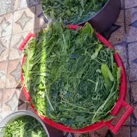 سبزی خورشتی جنوب خوزستان