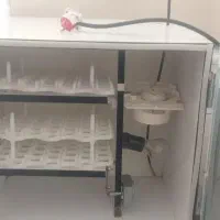 یک عدد دستگاه جوجه کشی مارک صبا