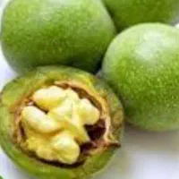 اجاره-باغ-گردو-وبادام