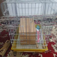 قفس عروس و سهره
