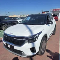 کیا سلتوس