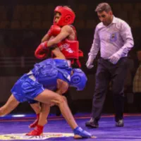 آموزش هنرهای رزمی  ووشو