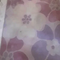 قالیچه ۲ عدد