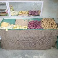 واگذاری استند میوه فروشی