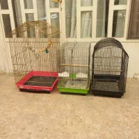 3 عدد قفس بزرگ 1033 و 1032