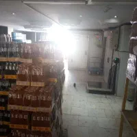 استخدلم راننده نیسان پویا و پر انرژی پخش پروتئینی