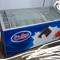 یخچال بستنی ۶۰۰لیتری سالم