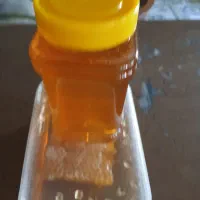 عسل کوهستان