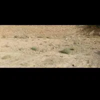 زمین-گلزار