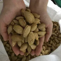 بادام درختی درجه یک و ارگانیک