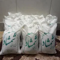 برنج ایرانی شمشاد