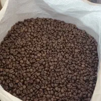 پخش عمده دان قهوه