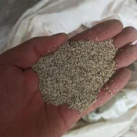 دانه‌های روغنی با خواص درمانی