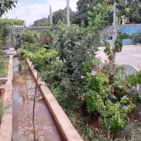 فروش-باغ