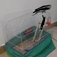 قفس پرنده بزرگ