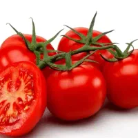 کود ارگانیک با کیفیت باورنکردنی